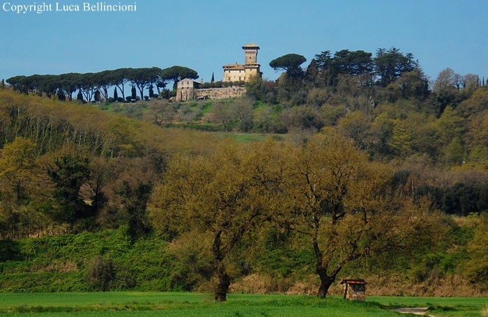 Castelvecchio di Bomarzo-Veduta 2 RCRLB